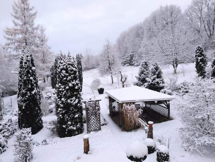 "Agroturystyka Pod Magnolia" Rybnica 33 Exterior foto